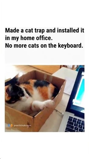 The ultimate cat trap for developers