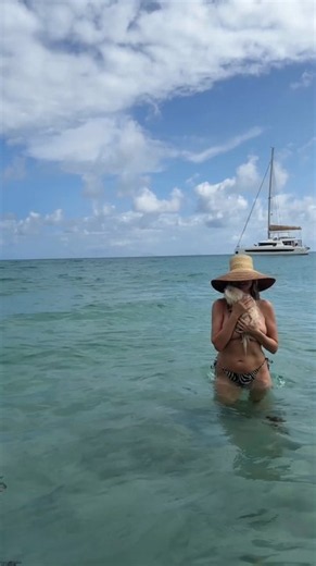 Heidi Klum, 53, goes topless for sun-soaked beach swim