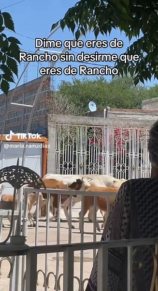 Discover the Charm of Life in Zacatecas Ranches