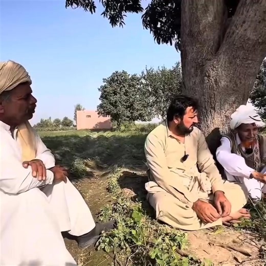 41K views · 2K reactions | Promote Punjabi Zuban on Reels | Facebook