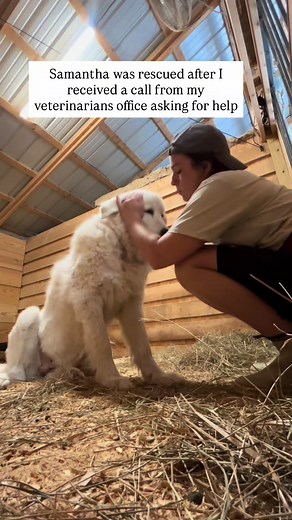 Samantha's Heartwarming Massage Experience at the Sanctuary