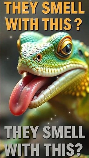 Lizards Smell With Their Tongues? The Weird Science Behind It!#LizardFacts- #ReptileScience