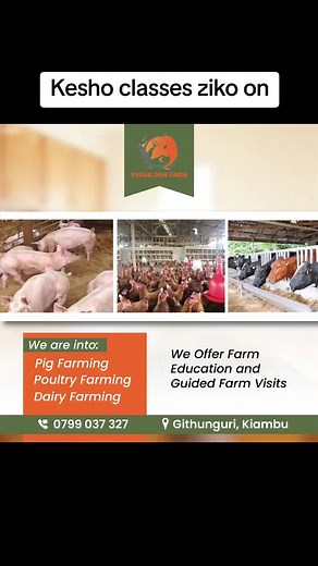 come learn farming Young Don farm#New #farming