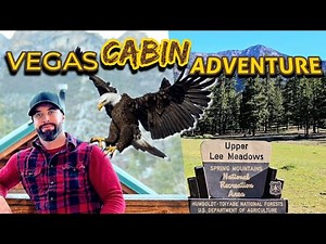 Exploring the cabins at Mt Charleston and why you need this adventure now!
