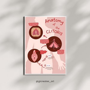 Anatomy of the Clitoris Educational Poster | 24x36, 16x20 & 8.5x11 Printable | Human Anatomy Classroom Wall Chart - Etsy