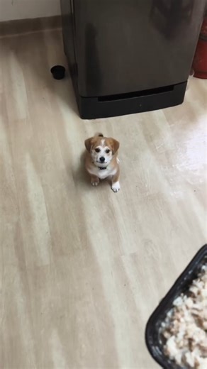 BigBen on Instagram: "Tûkthuan routine."