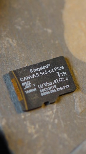 813 reactions · 13 shares | The Canvas Select Plus microSD will make the perfect storage upgrade for your Android device. It features reliable speeds and comes with a lifetime warranty. With capacities up to 1TB, think of all the pet photos you could take! #KingstonTechnology #microSD #1TB | Kingston Technology | Facebook