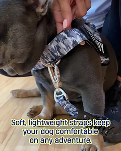 30K views · 3.5K reactions | Upgrade to our No-Pull Dog Harness for safer, more comfortable walks. Unlike collars that can cause neck strain, our harness distributes pressure evenly across the chest and shoulders, preventing choking and ensuring your dog's comfort. Ensure your dog's safety with our secure No-Pull Harness. Traditional collars may slip off or get caught, but our harness stays firmly in place, giving you total control without discomfort. | Dog Friendly Co. | Facebook