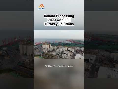 How Canola Processing Plants Transform Seeds into Pure Oil at Scale