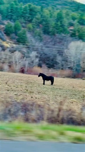 Utah- Zion national park, so prettyyy