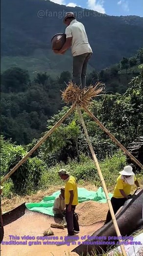 Traditional Grain Winnowing: Removing Chaff and Impurities in Mountain Farmlands
