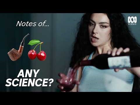 Are Tasting Notes Even Real? (7 Wine Questions Answered)