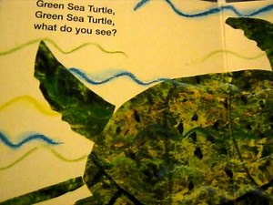 Panda Bear, Panda Bear, What Do You See?