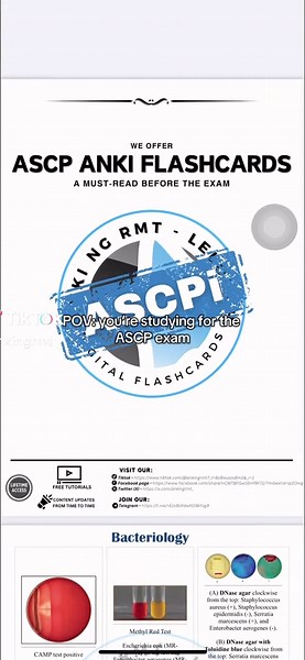 Prepare for the ASCP Exam Effectively