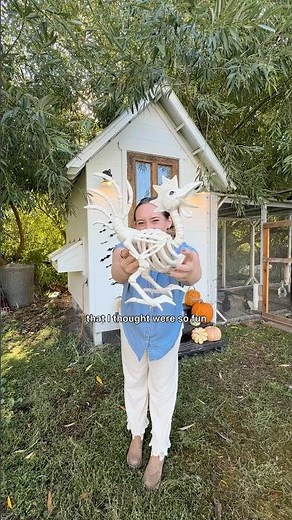 HALLOWEEN COOP: Going ALL OUT to decorate my chicken’s coop #halloweendecor #chickencoop #chickens