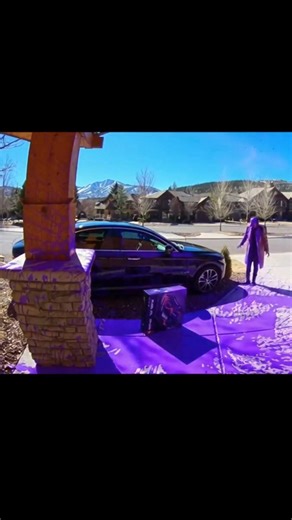 LEGO Technic Porsche 911 GT3 RS: A NEON PURPLE UPHEAVAL at the car! 🏎️🌬️💥🚨