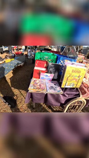1.8K views · 46 reactions | Ever wonder what gems you can unearth at a flea market? This person shares their experience, revealing unique collectibles and stories from the market itself. It's more than just shopping; it's a treasure hunt! #FleaMarketFinds #Collectibles #ThriftStore #VintageShopping #BargainHunting | ADHDave | Facebook