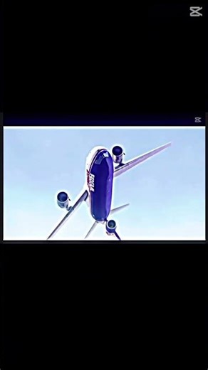 People who survive the impossible💀#aviation #airplane #impossible #planecrash#boeing