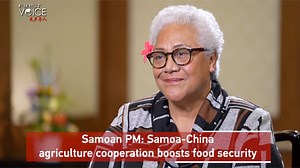 37K views · 55 reactions | For years, China and Samoa have collaborated closely in the agriculture sector through joint projects and ventures, demonstration farms, pilot zones and also training programs. Samoan Prime Minister Fiame Naomi Mata'afa says this partnership addresses Samoa's food security needs. The country is advancing its agricultural practices and enhancing trade by adding value to its agricultural products. | CGTN | Facebook