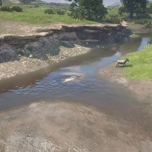 2.4K views | Donkey impossible escape from Crocodile | Indian Gamer DT | Facebook