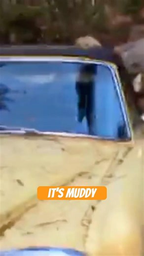 1970s Rolls Royce Corniche Convertible