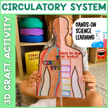 Circulatory System Project Activity | Human Body System Diagrams | Cut & Paste