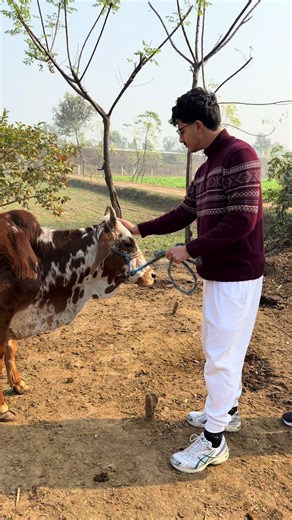 Final deira visit before making skyscraper in us #pakistan #sialkot #viral #trend #fyp