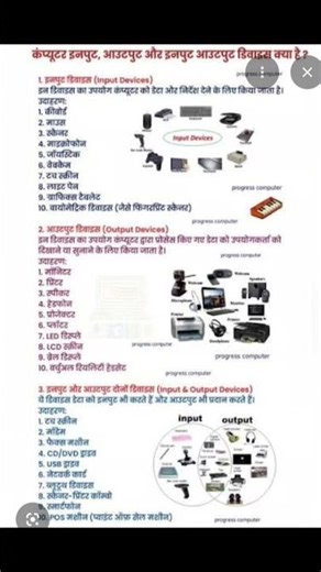 What is input device and output device