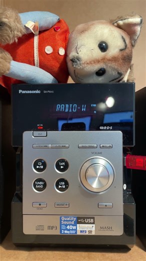 Panasonic SA-PM45