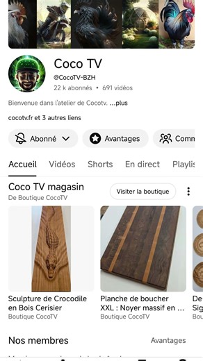 BestOfChannelsInstant : Noms en description