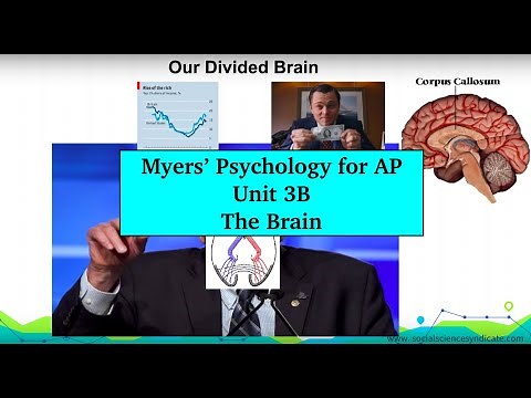 AP Psychology | Myers’ Unit 3B