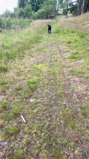 Heath_Land on TikTok