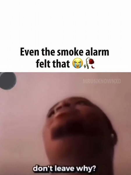 The smoke alarm said "Damn" 💔