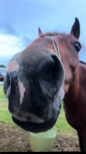 Bride Rides Horse at Wedding: A Memorable Moment