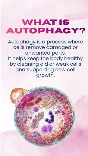 What Is Autophagy? Can It Help in Cancer Treatment? | Dr. Pratik Patil