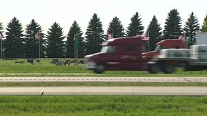 Manitoba trucking industry responds to COVID-19 cases in its ranks