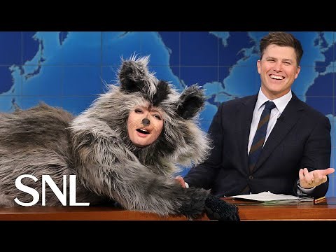 Weekend Update: Drunk Raccoon on Breaking into a Liquor Store - SNL