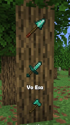 Invisible Item Frames in Minecraft