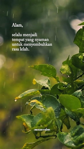 10 Detik untuk Menenangkan Pikiran 🌿