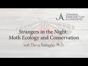 Strangers in the Night: Moth Ecology and Conservation with Elena Tartaglia, Ph.D.