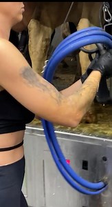 7.8K views · 135 reactions | Girls Work On The Farm | Cow Farm | Facebook