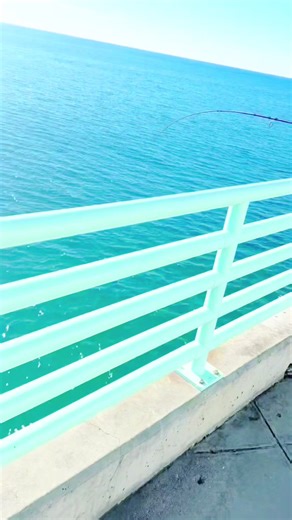 Bad bass mars (@badbassmars)’s videos with original sound - Bad bass mars