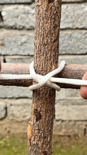 Popular Knot Quick Easy And Realiable !