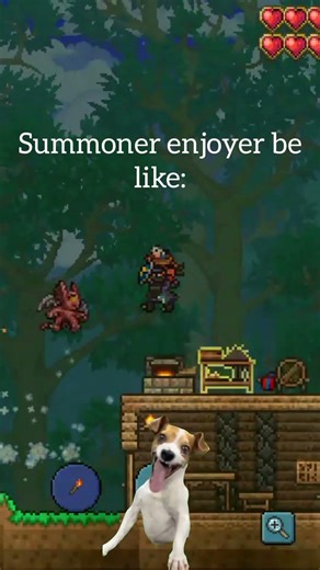 I really enjoy Summoner class 🥴| Terraria #terraria #memes