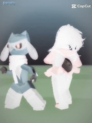 Raboot x riolu || cinderace x Lucario