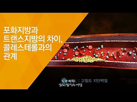 포화지방과 트랜스지방의 차이, 콜레스테롤과의 관계 - (2015.10.28_559회 방송)_3대 식품 논쟁 3편 콜레스테롤의 누명