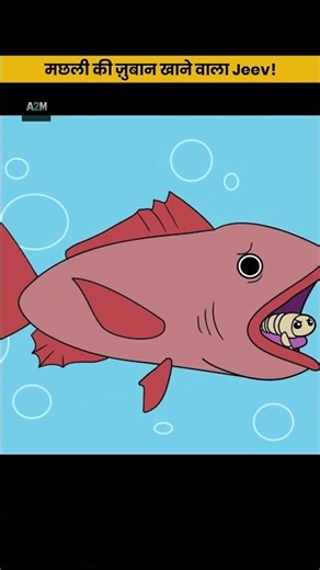 Sea Parasite Can Kill a Fish From Inside 😱