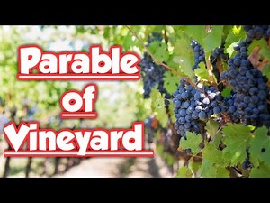 Parable of Vineyard | Bible Story | Sunday School Lesson |