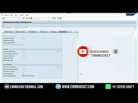 Staging Area and Door Determination Group In SAP EWM | SAP EWM BUCKET