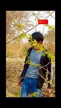 May 1, 2026🥹💔 hum Tere bin ab rah nahin sakte singer Arijit Singh song by trending video song